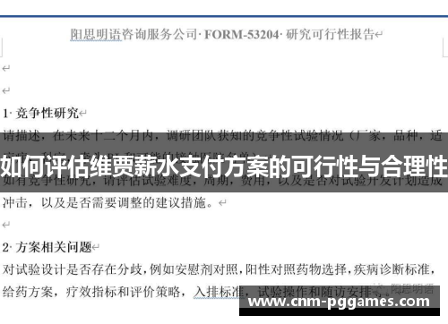 如何评估维贾薪水支付方案的可行性与合理性