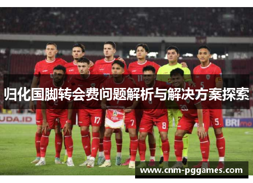 归化国脚转会费问题解析与解决方案探索