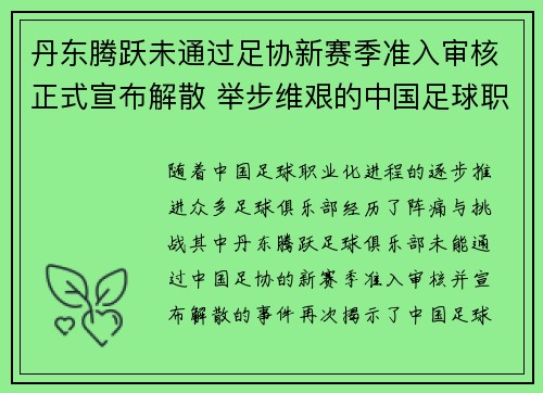 丹东腾跃未通过足协新赛季准入审核正式宣布解散 举步维艰的中国足球职业化困境再现