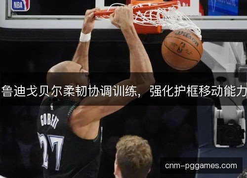 鲁迪戈贝尔柔韧协调训练，强化护框移动能力